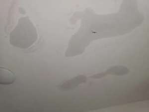 屋頂漏水zui實用的解決辦法！